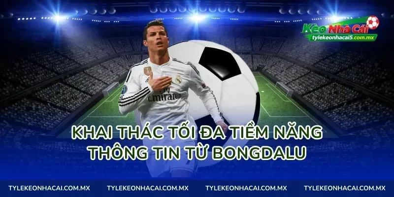 Khai thác tối đa tiềm năng thông tin từ Bongdalu