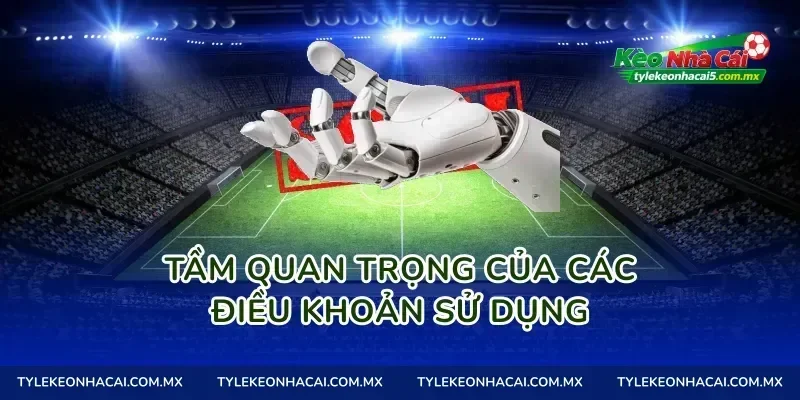 Tầm quan trọng của các điều khoản sử dụng
