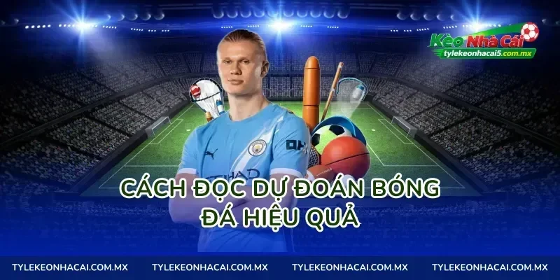 Cách đọc dự đoán bóng đá hiệu quả