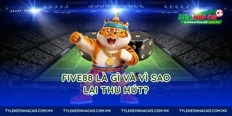Five88 là gì và vì sao lại thu hút?