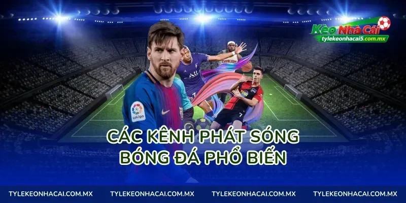 Các kênh phát sóng bóng đá phổ biến