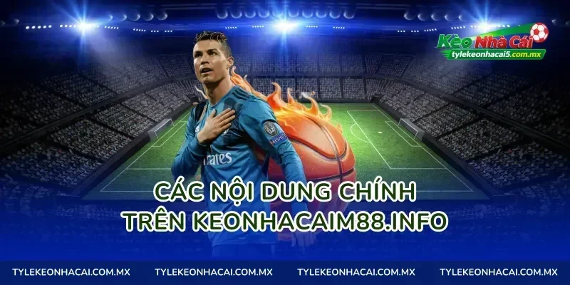 Các nội dung chính trên keonhacaim88.info