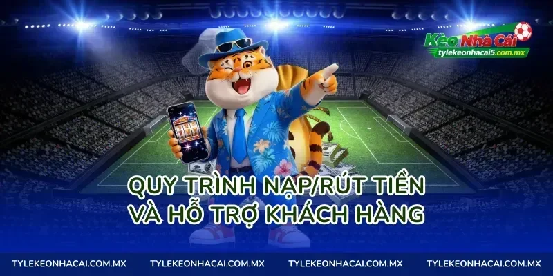 Quy trình nạp/rút tiền và hỗ trợ khách hàng