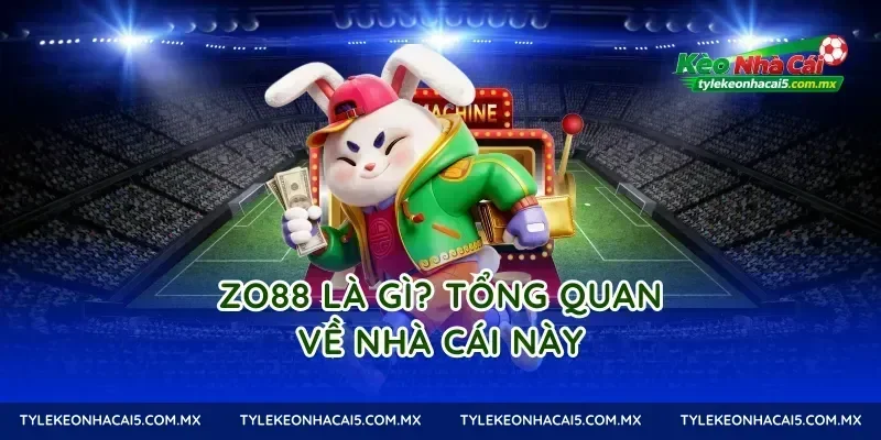 Zo88 là gì? Tổng quan về nhà cái này