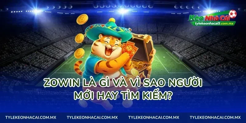 Zowin là gì và vì sao người mới hay tìm kiếm?